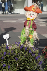 Flowers and Toy Doll for Sale in Marktplatz, Square, Bonn