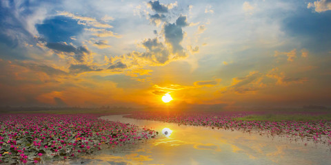 Sunset at Sea Red Lotus