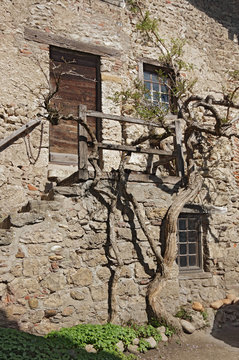 Medieval town of Perouges