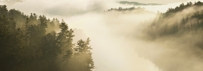 Misty Boundary Waters lake and pines panorama