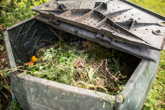 Plastic composter in a garden - filled with decaying organic mat