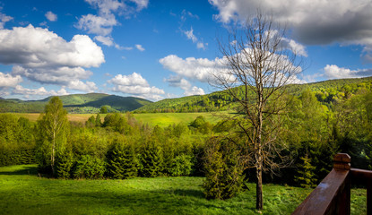 Fototapeta na wymiar Bieszczady Mountains, Poland
