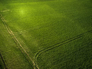Schilderijen op glas Farmland from above - aerial image of a lush green filed © lightpoet