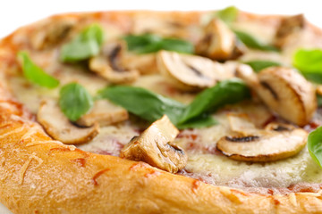 Delicious tasty pizza with basil and champignon, closeup
