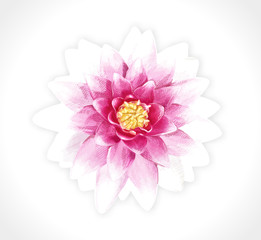 Vector pink soring flower isolated illustration. EPS10.