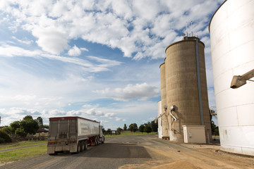 Steel grain Silos