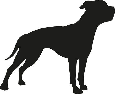 American bulldog silhouette