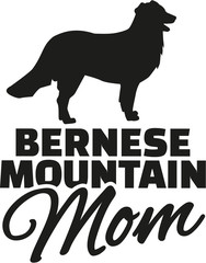 Bernese mountain Mom