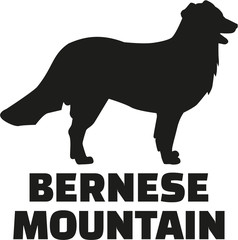 Bernese mountain silhouette with breed name