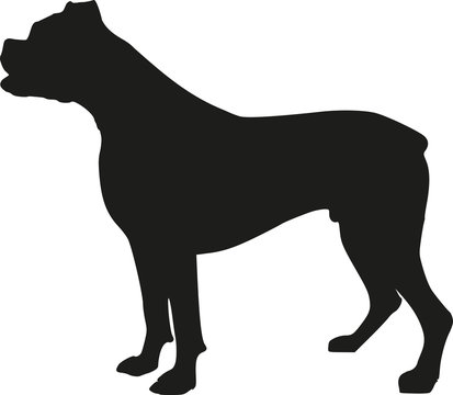 Boxer dog silhouette