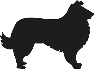 Dog Collie silhouette - obrazy, fototapety, plakaty