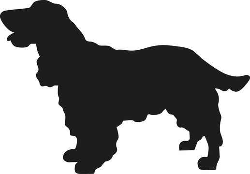 Cocker Spaniel silhouette
