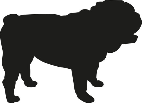 English bulldog silhouette