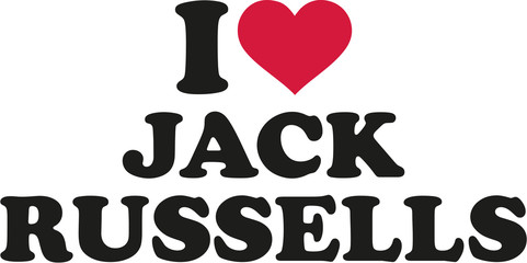 I love jack russells