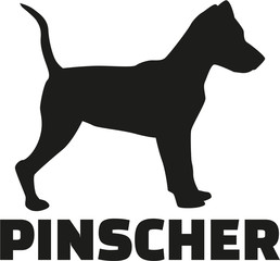 Pinscher with breed name