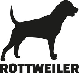 Rottweiler with breed name