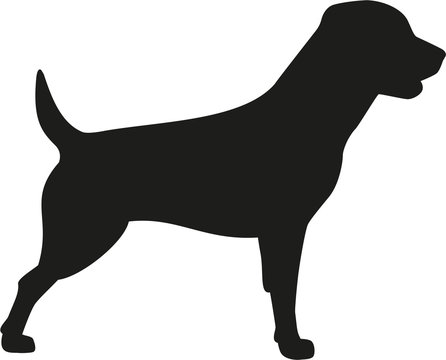 Rottweiler dog icon
