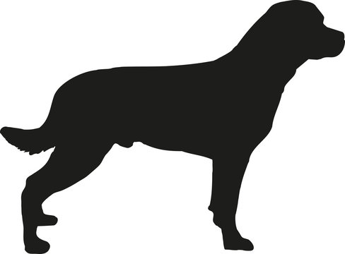 Rottweiler silhouette