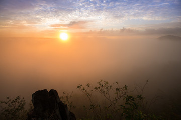 Fog in mountain before sunrise in thailand