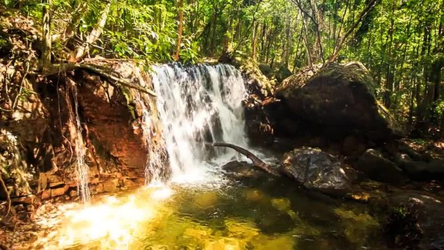 Small Waterfall Falls into Transparent Pond in Tropical Forest