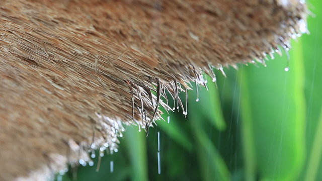 Thatch Roof Rain Tropical Dripping Nature Relaxation Wet Straw Shelter Green Background