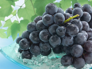 ブドウ盛り付けイメージ