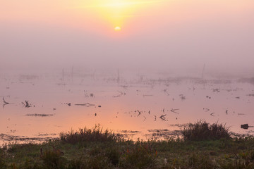Sunrise in the dawn fog on the lake