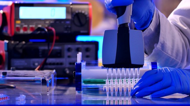 Sample preparation for DNA electrophoresis. Adding samples in Gel Electrophoresis