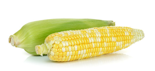 Corn isolated on the white background