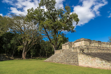 Blue sky day in an ancient pyramid at pre-columbian city of Copan, Honduras