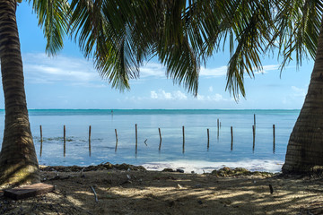 Blue water beach with palm trees in Caye Caulker, Belize