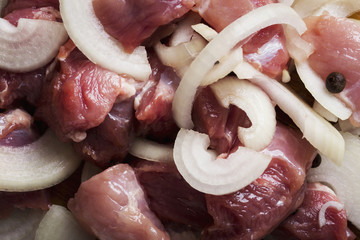 raw meat with onion