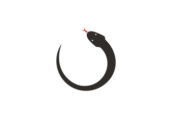 Circle Snake Logo Vector