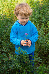 Boy holding flower in field
