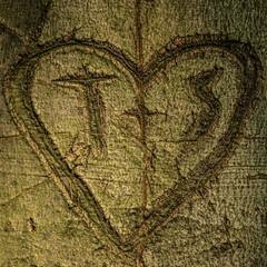 Ein Herz in Buchenrinde geschnitzt