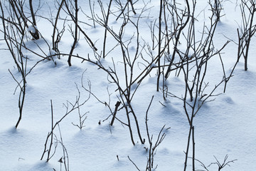 Fototapeta na wymiar snow-covered land closeup winter day