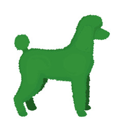 Vector illustration of a poodle topiary.