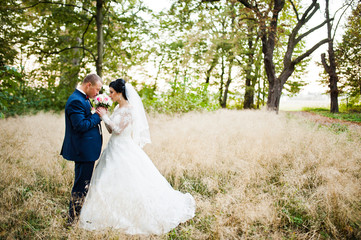 Wedding couple in high dry grass