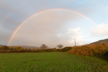 Naklejka premium At the end of the rainbow