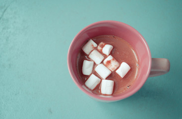 Cup of hot cocoa with marshmallows
