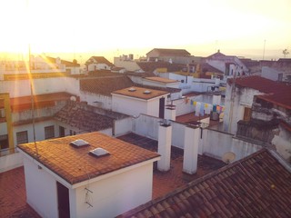 Landscape rooftops at dawn