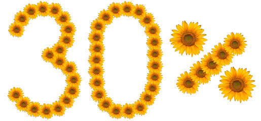 figure of 30% of the written text colors sunflowers