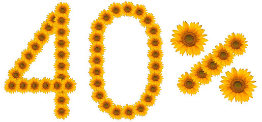 figure of 40% of the written text colors sunflowers