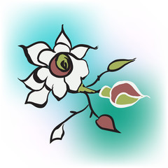 rose icon in blur background