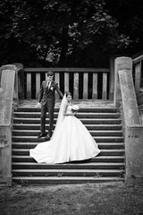 elegant stylish young couple beautiful bride and groom on the stairs