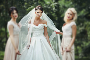 Fototapeta na wymiar stylish and beautiful bride photographed in a park with buddies