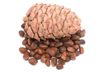 cone with pine nuts on a white background