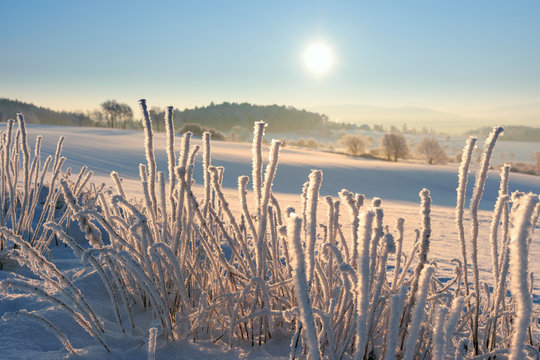 Wintertraum