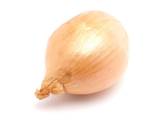 onions on a white background