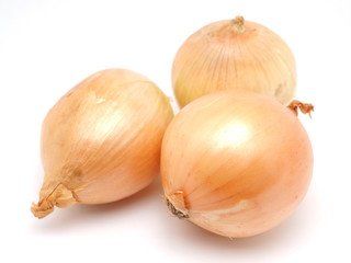 onions on a white background